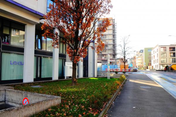 Sehr zentrale und sonnige Wohnung, mit schöner Aussicht, mitten in Kriens - Bild# 9