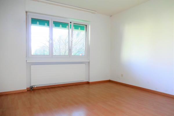 Vorteilhaftes Wohnen: nahe am Stadtkern Zürich und mitten im Grünen - Bild# 5