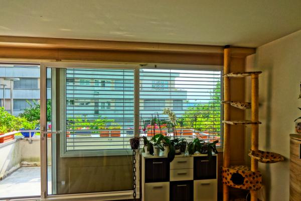 Grosszügige Gartenwohnung an privilegierter Hanglage mit Aussenpool - 6036 Dierikon - Bild# 4