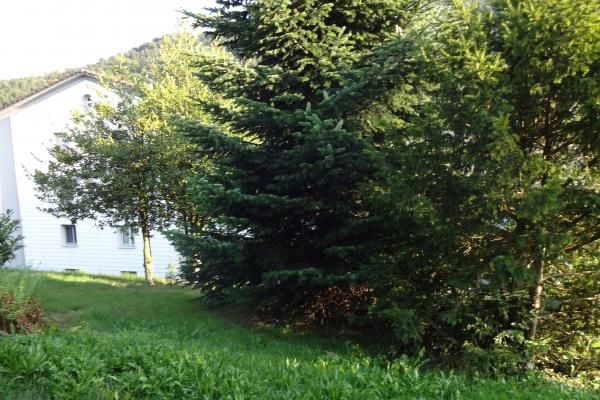 3.-Fam. Haus an sehr zentraler und kinderfreundlicher Lage - 6014 Luzern - Bild# 7