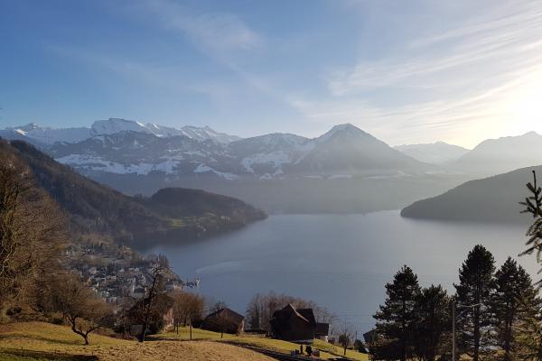 Zu verkaufen Einfamilienhaus (Ferienhaus) in Vitznau mit Sicht auf See & Berge - 6354 Vitznau - Bild# 8