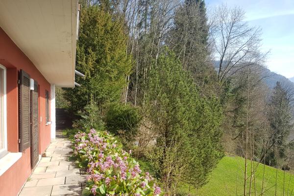 Zu verkaufen Einfamilienhaus (Ferienhaus) in Vitznau mit Sicht auf See & Berge - 6354 Vitznau - Bild# 4